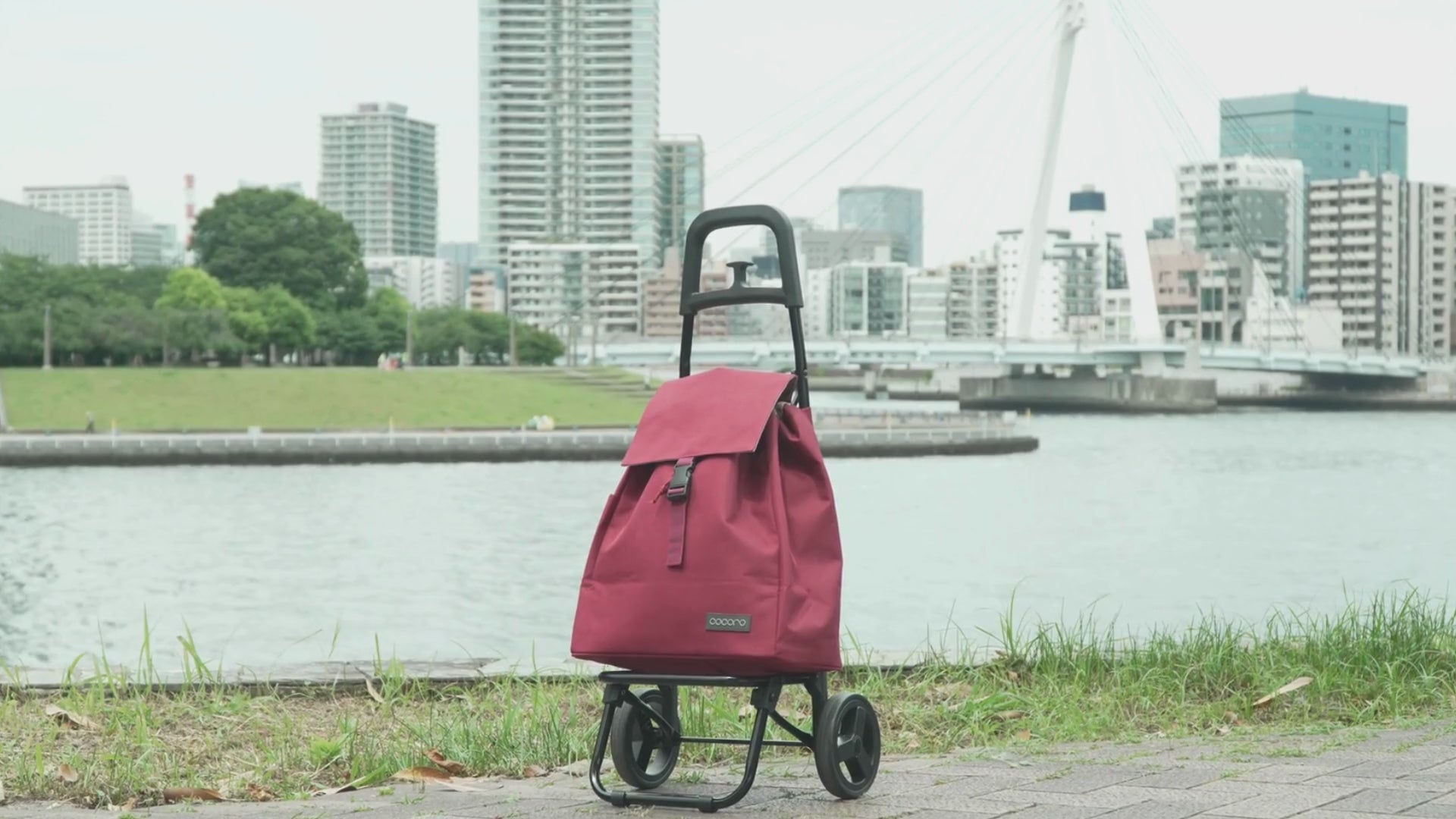 ココ ココロ スモールネオカート ネイビー – レップ公式オンラインストア